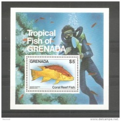 Hb 117 grenada