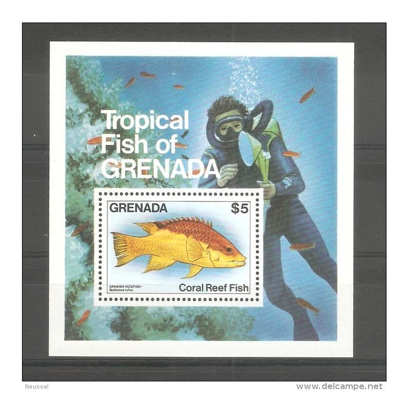 Hb 117 grenada Hb 117 grenada