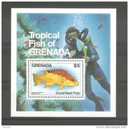 Hb 117 grenada