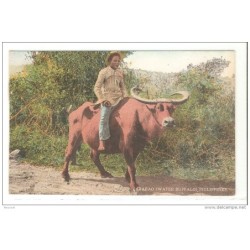 Postal de filipinas carabao