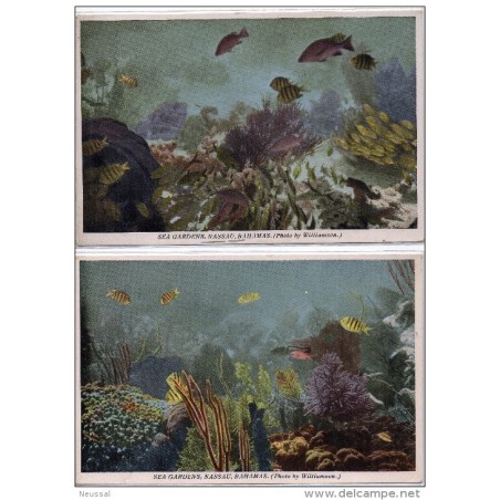 2 tarjetas postales Bahamas
