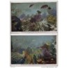2 tarjetas postales Bahamas