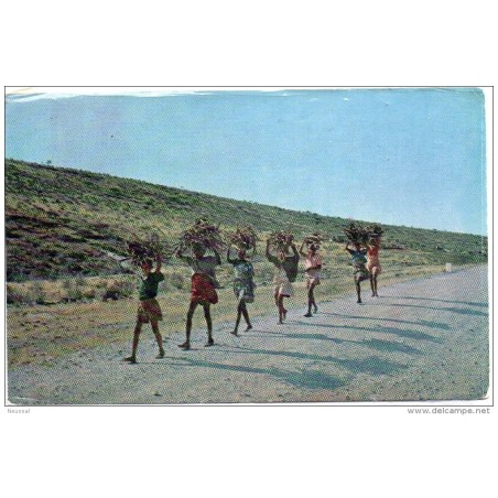 Tarjeta postal  de sudafrica