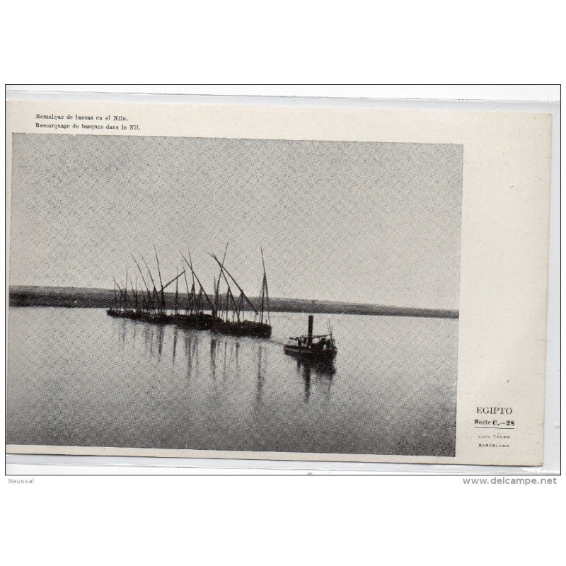 Tarjeta postal de el cairo remolque barcas En el nilo Tarjeta postal de el cairo remolque barcas En el nilo