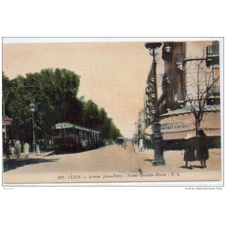 Tarjeta postal de tunez avenue jules ferry