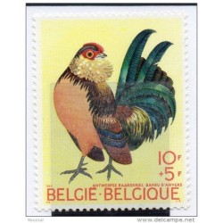 Sello 1513  pajaros  belgica
