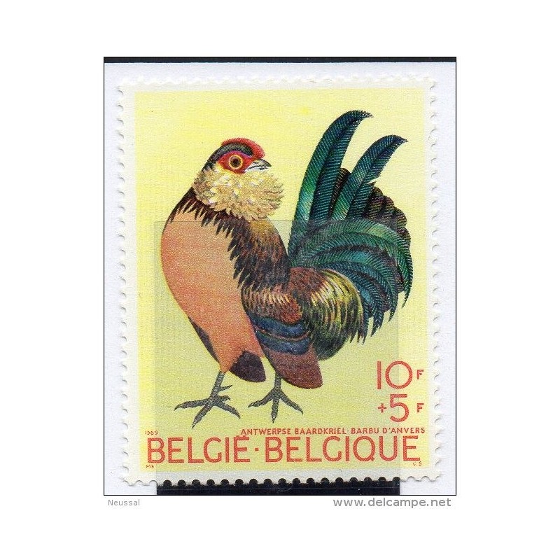 Sello 1513 pajaros belgica Sello 1513 pajaros belgica
