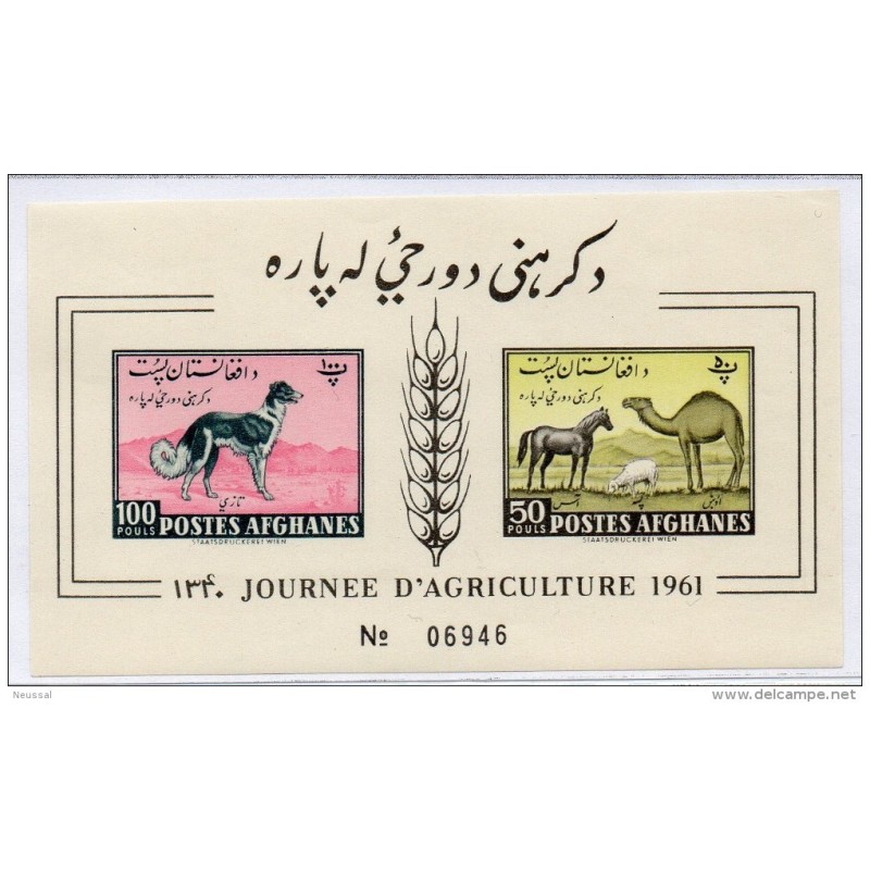 Hb19 Sd perros Afghanes Hb19 Sd perros Afghanes