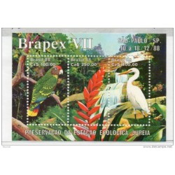Hb75 Pajaros  Brasil