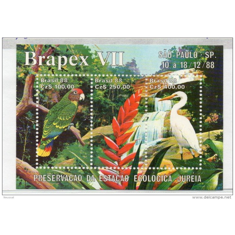 Hb75 Pajaros Brasil Hb75 Pajaros Brasil