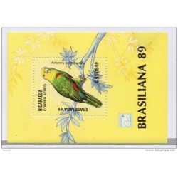 Hb190  Pajaros nicaragua