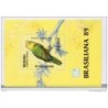 Hb190  Pajaros nicaragua