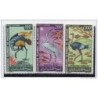 Serie n A646  Pajaros Mauritanie
