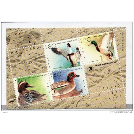 Hb41  Pajaros  Israel