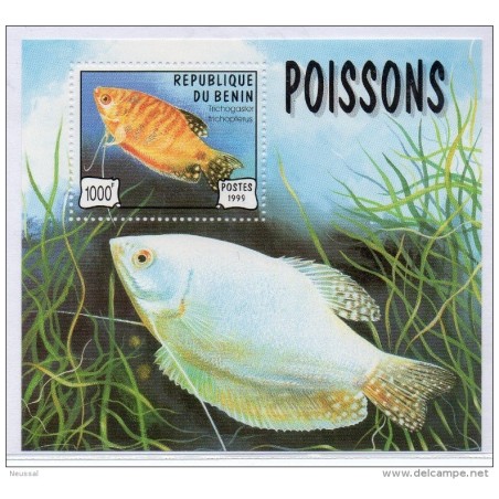 Hb55  Peces  Benin