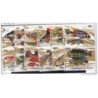 Serie 42839    Peces  Guinee
