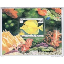 Hb122   Peces  Guinee