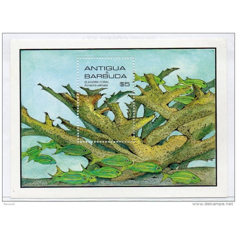 Hb97 Peces Antigua y barbuda Hb97 Peces Antigua y barbuda