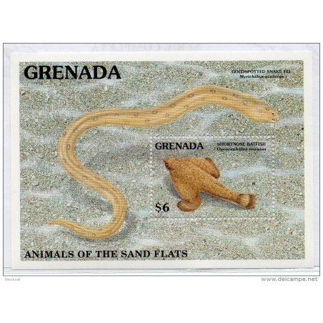 Hb275   Peces Grenada