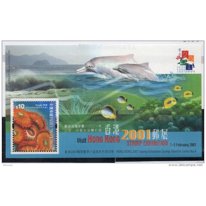 Hb72 C Peces Hong kong Hb72 C Peces Hong kong
