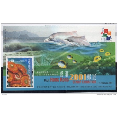 Hb72 C    Peces Hong kong
