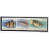 Serie n10057  Peces indonesia