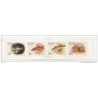 Carnet c136A    Peces Madeira