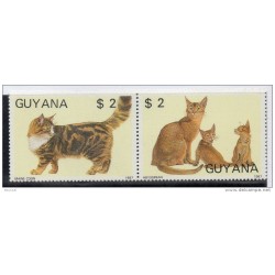 Serie n 1769 MjMM   Gatos  guyana