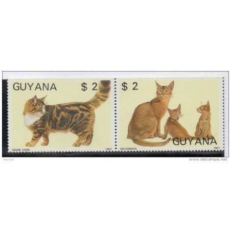 Serie n 1769 MjMM   Gatos  guyana