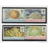 Serie n 447  British indian Ocean