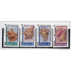 Serie n 51720   Conchas Nevis