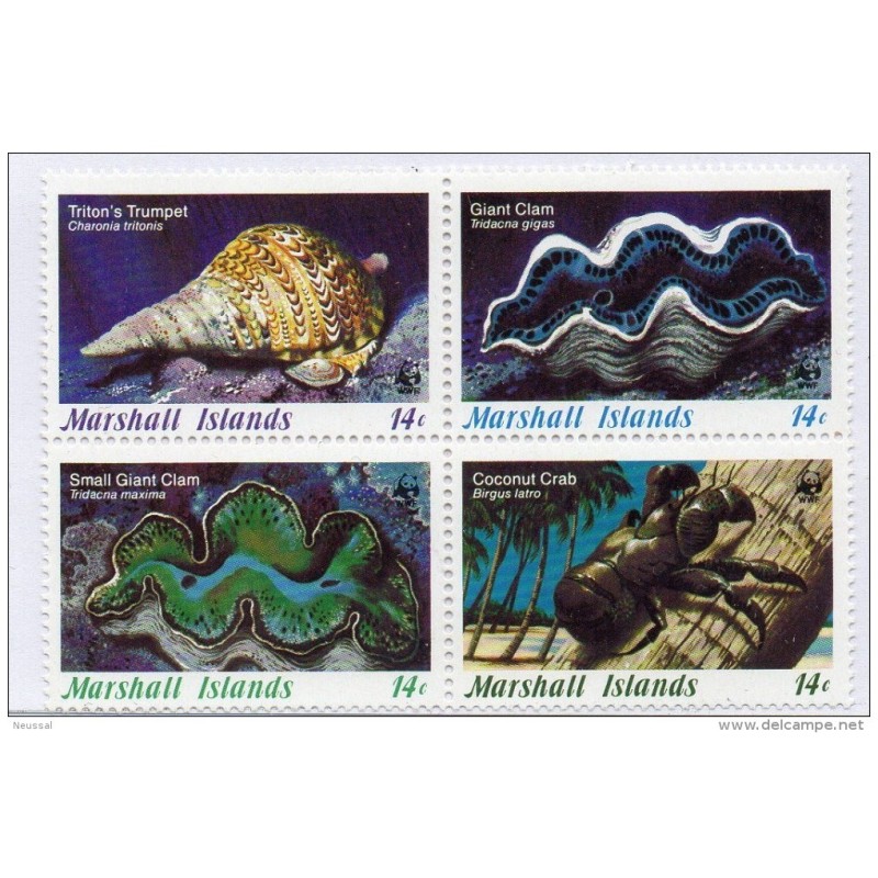 Serie n 1114 Conchas Marshall island Serie n 1114 Conchas Marshall island