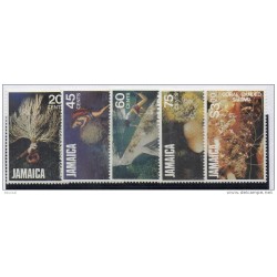 Serie n 5426  Conchas Jamaica
