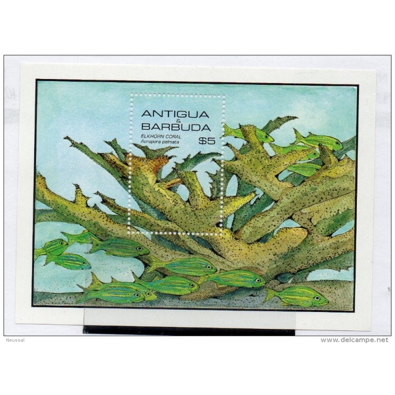 Hb97 Antigua barbuda Hb97 Antigua barbuda