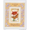 Hb41 Anguilla