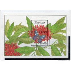 Hb2627 Guyana