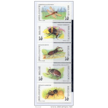 Serie  n 26305  insectos Belgica