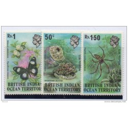 Serie  n 546  Insectos Indian ocean