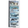 Serie n  2138 British antartic