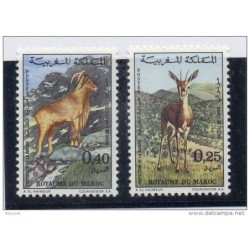 Serie n 6467 maroc