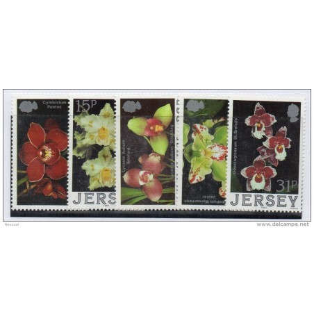 Serie n  41923  jersey