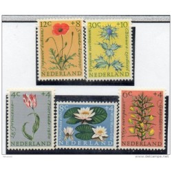 Serie n  71923 nederland