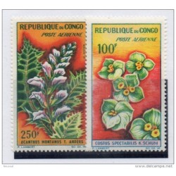 Serie n A 89 congo