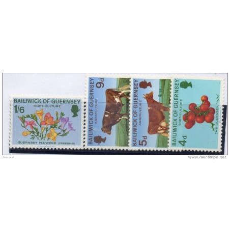 Serie n 269 guernsey
