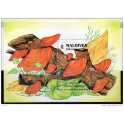 Hb219 y 225  maldivas