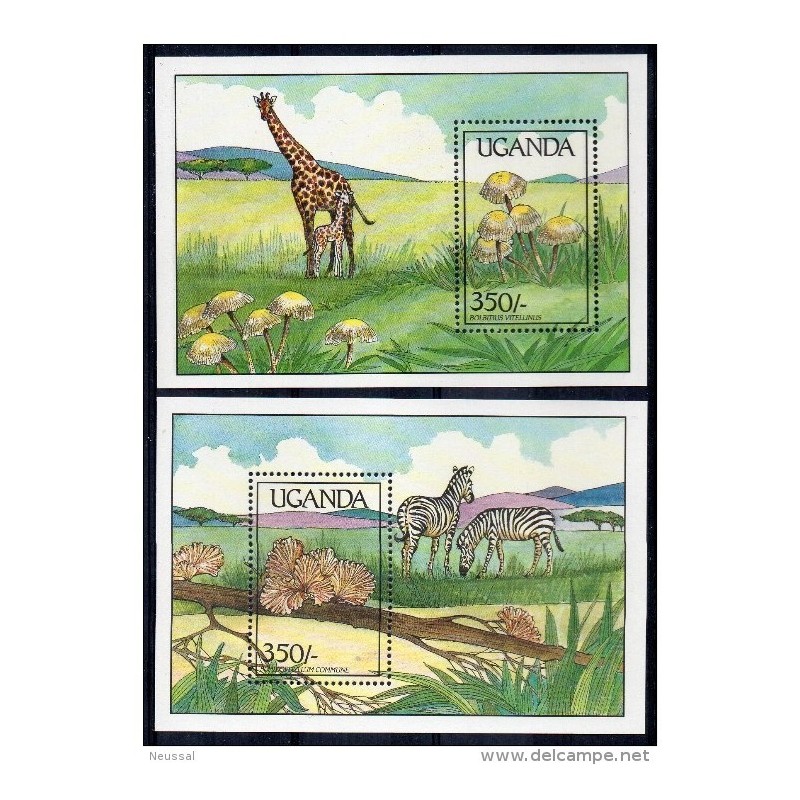 Hb 92 y 94 uganda Hb 92 y 94 uganda