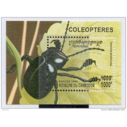 Hb109   insectos Camboya