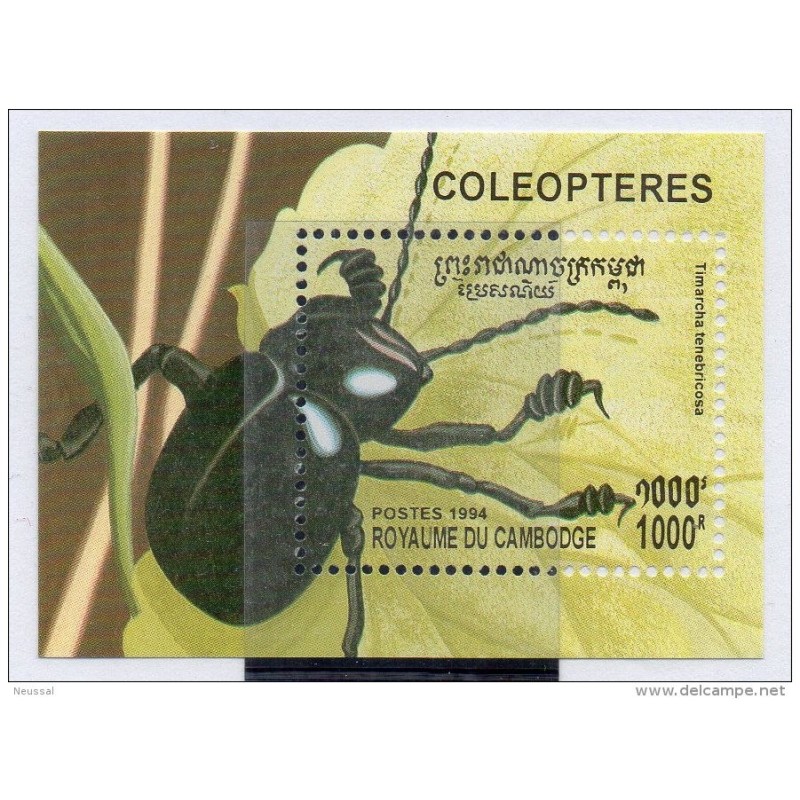 Hb109 insectos Camboya Hb109 insectos Camboya