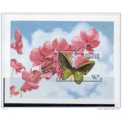 Hb436 insectos antigua i barbuda