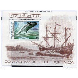 Hb81  dominica